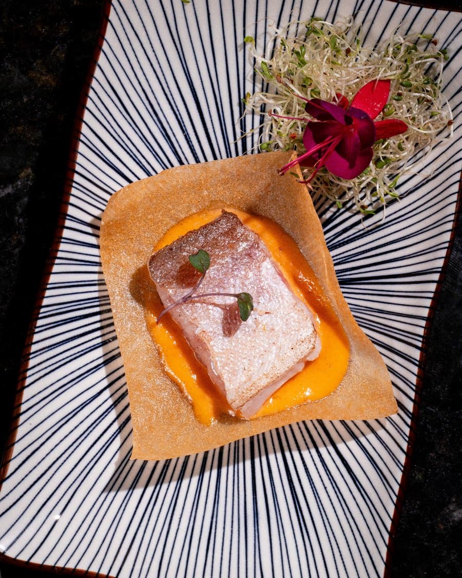 Crock de nori com peixe branco